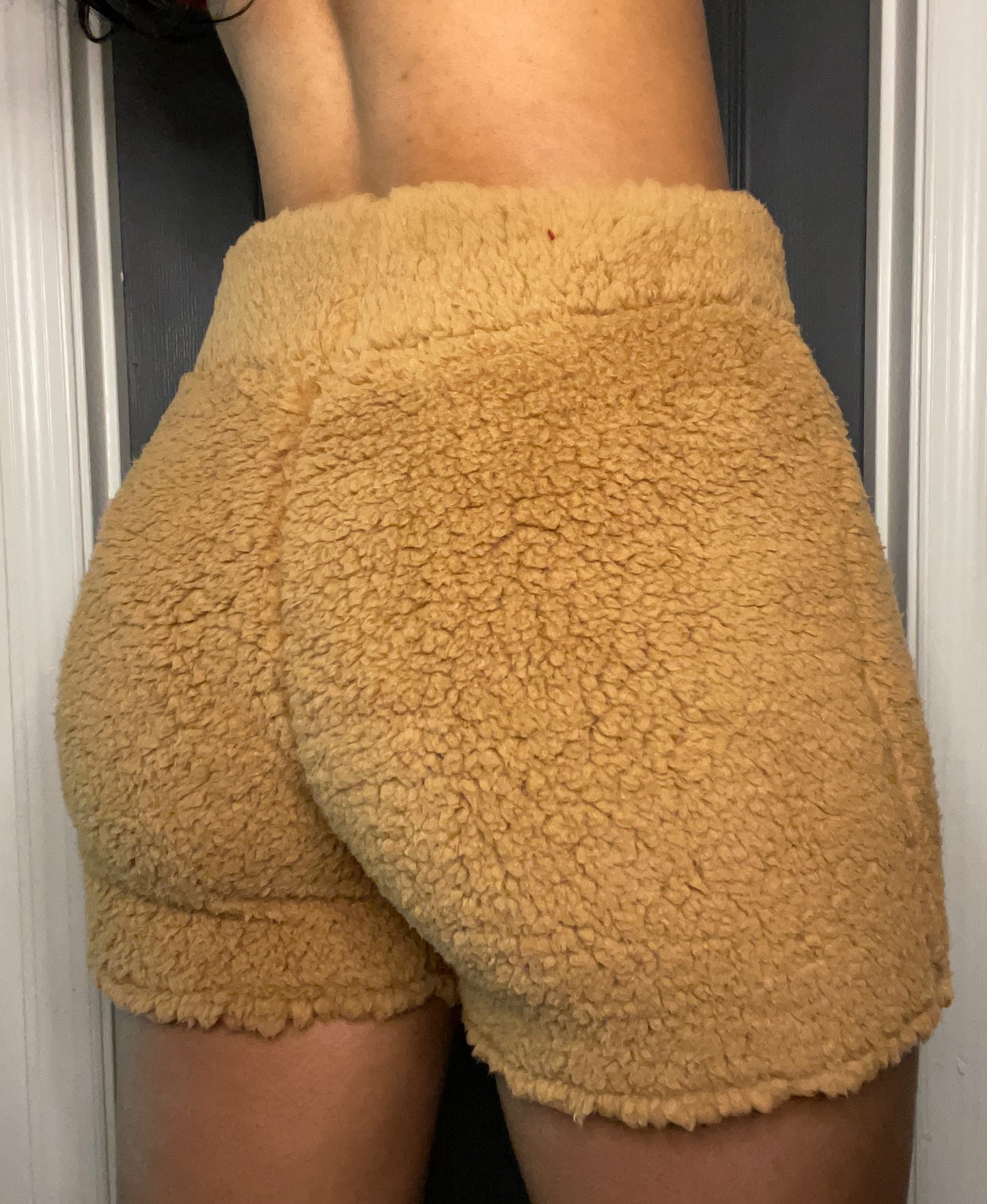 The Teddy Short Shorts (Available in 4 colors)