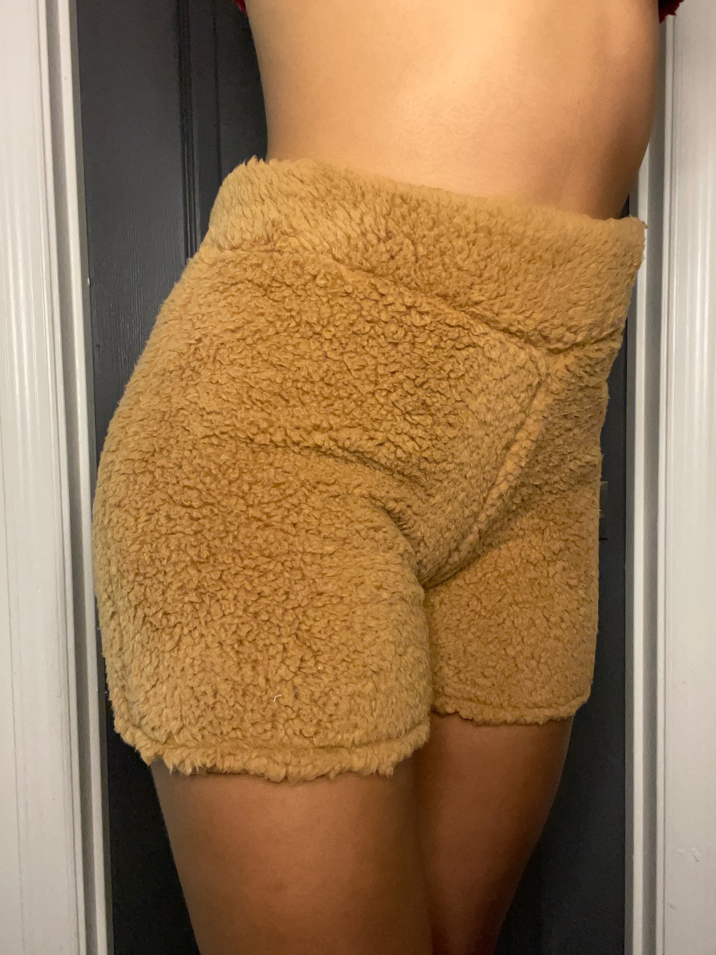 The Teddy Short Shorts (Available in 4 colors)